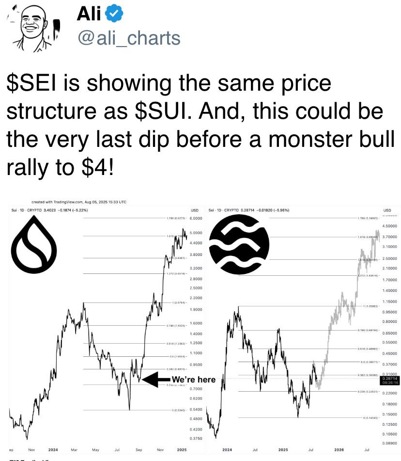 $SEI is showing the same price structure as $SUI. And, this could be the very last dip before a monster bull rally to $4!