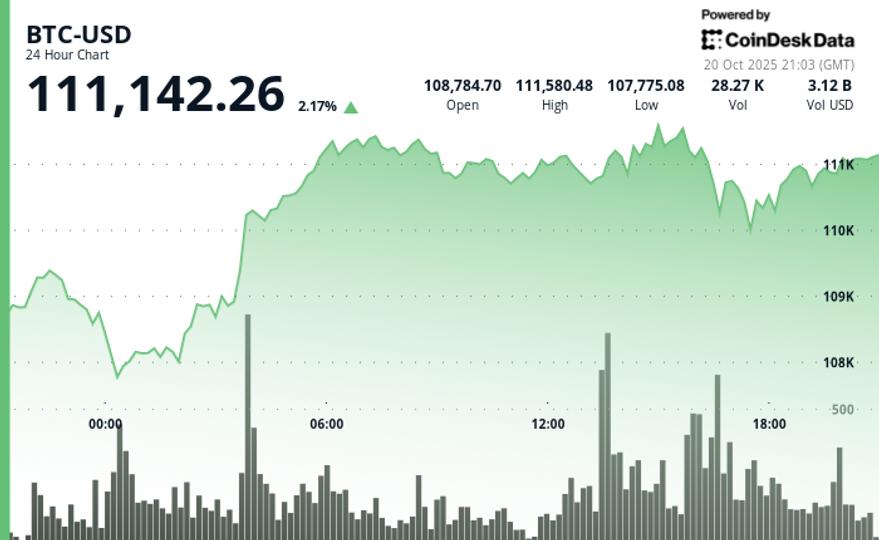 Bitcoin’s Rise Slows Down While XRP and Zcash Surge; Arca Claims Rally Is Not Just a Temporary Rebound