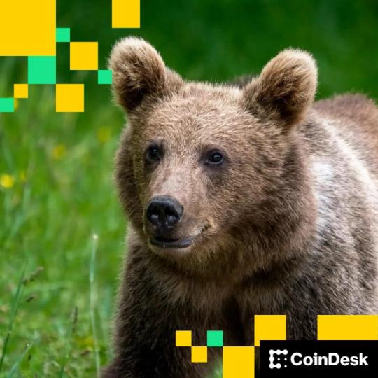 Michael Saylor’s MSTR Maintains Value Despite Declining Sentiment. Can Others Follow Suit?