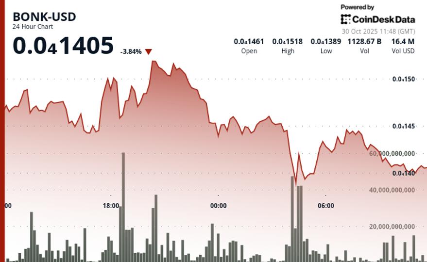 BONK Price Stabilizes Above Support Level as Volume Surges 71% Despite Market Decline