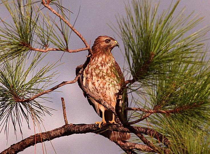 Jerome Powell and the Fed Face New Pessimistic Employment Statistics to Consider