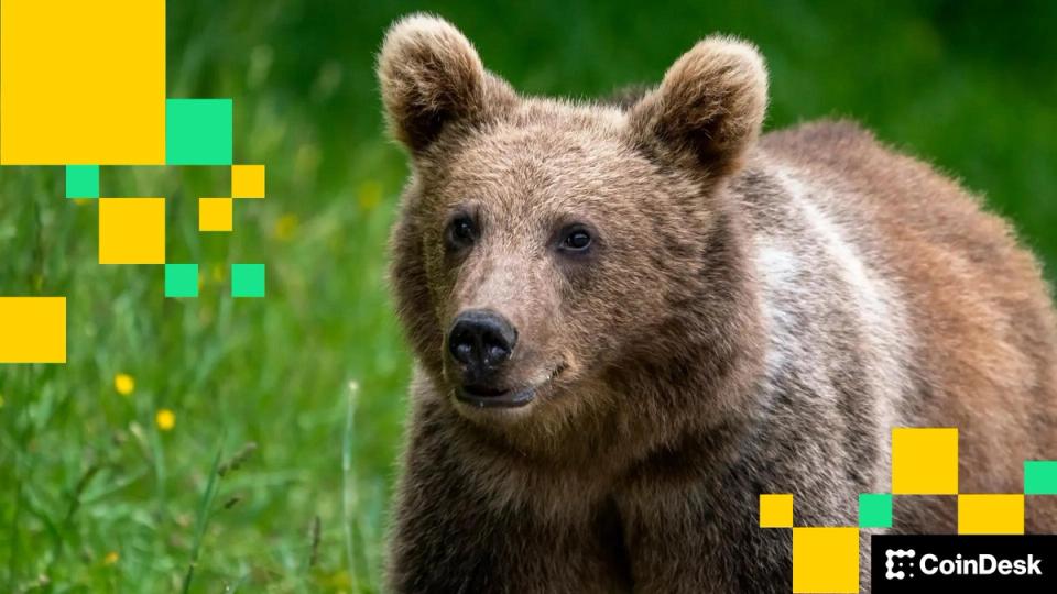 “Is $91K the New Bitcoin Price Target? A Strongly Negative Outlook”