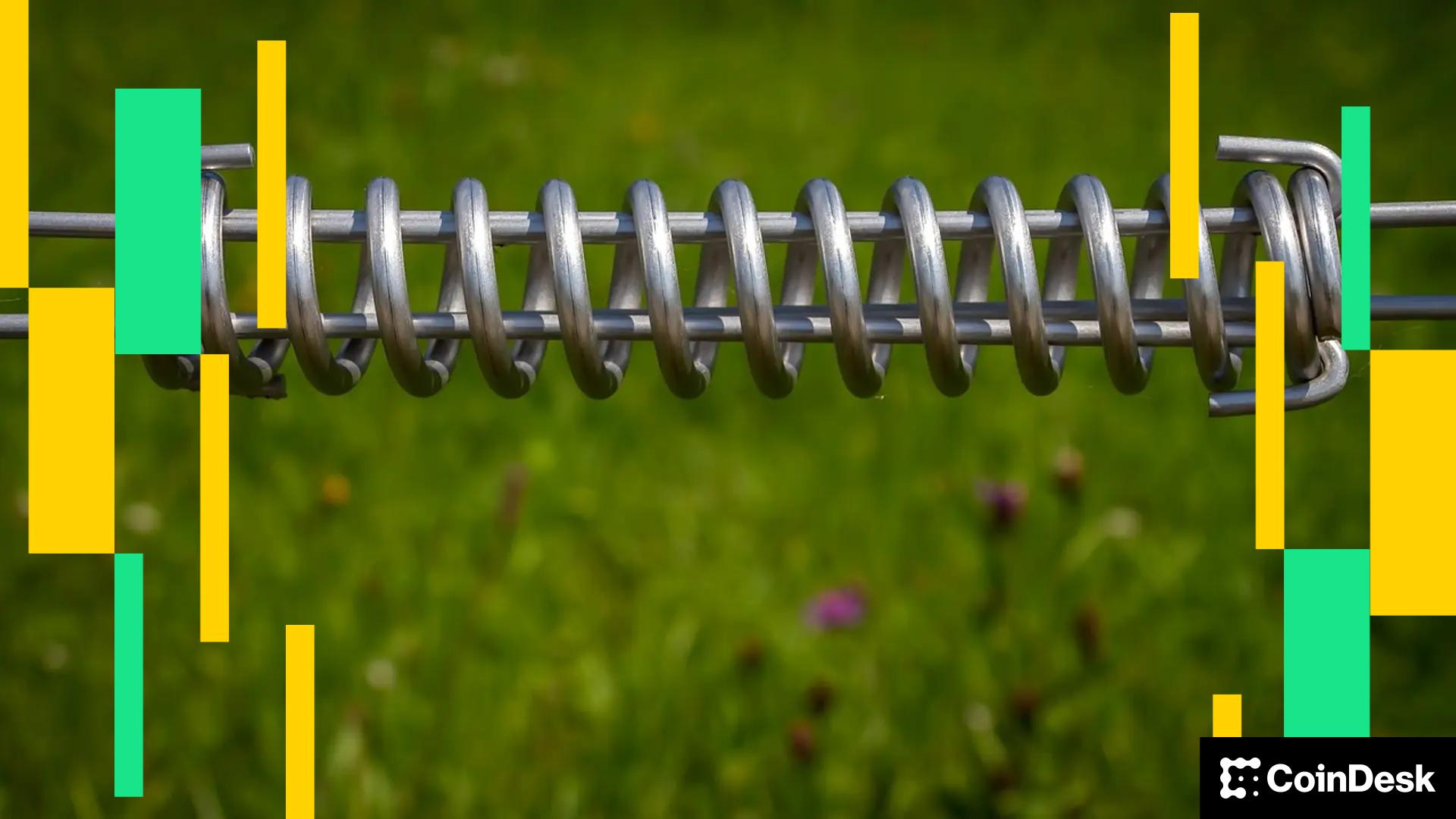 Privacy Tokens DASH, XMR, and DCR Excel While BTC and ETH Lag as Market Stabilizes