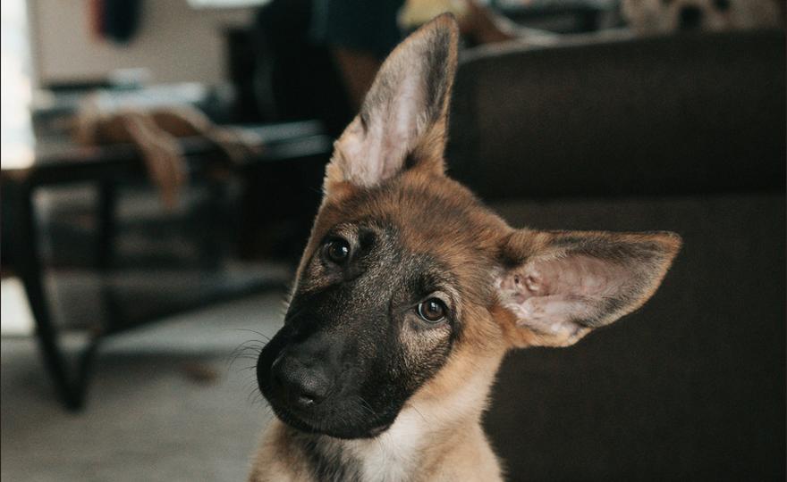 Even Prediction Markets Failed to Anticipate BTC’s Price Drop